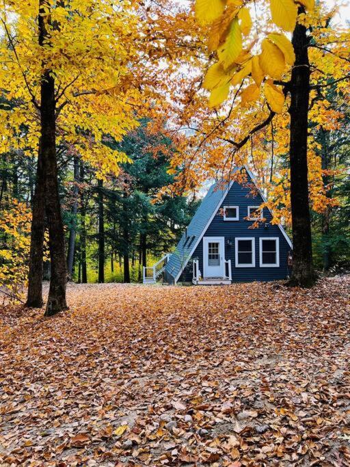 הוילה Tamworth New! Cozy & Modern A-Frame In The Woods W/Hot Tub מראה חיצוני תמונה